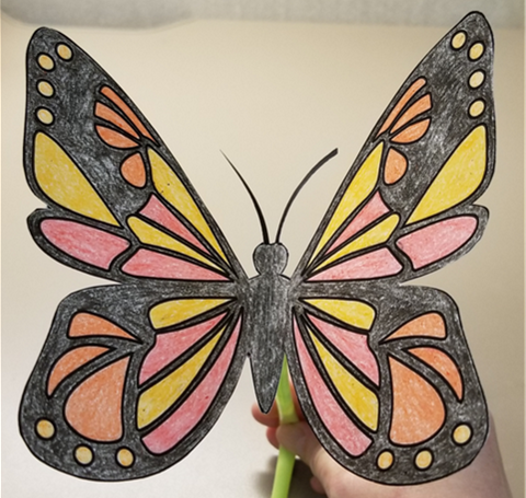 Image of butterfly craft and toy